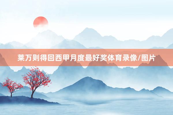 莱万则得回西甲月度最好奖体育录像/图片