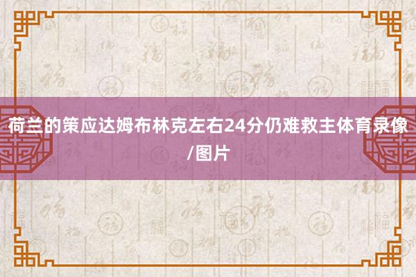 荷兰的策应达姆布林克左右24分仍难救主体育录像/图片