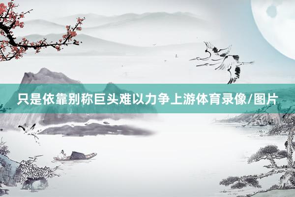只是依靠别称巨头难以力争上游体育录像/图片