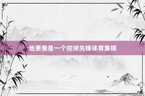 他更像是一个控球先锋体育集锦