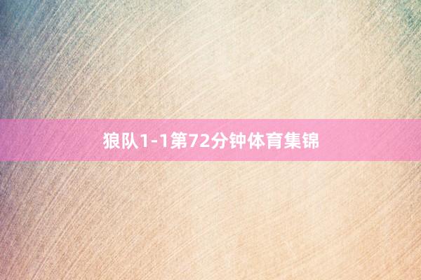 狼队1-1第72分钟体育集锦