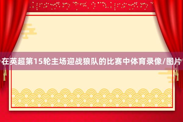 在英超第15轮主场迎战狼队的比赛中体育录像/图片