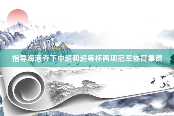 指导海港夺下中超和超等杯两项冠军体育集锦