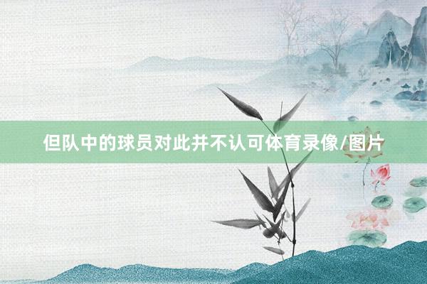 但队中的球员对此并不认可体育录像/图片