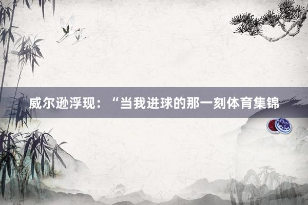 威尔逊浮现：“当我进球的那一刻体育集锦