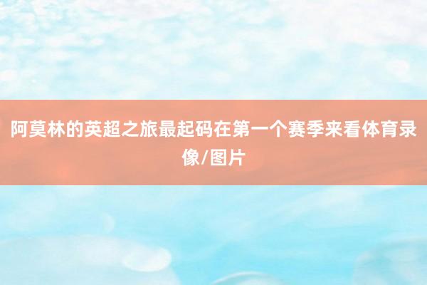 阿莫林的英超之旅最起码在第一个赛季来看体育录像/图片