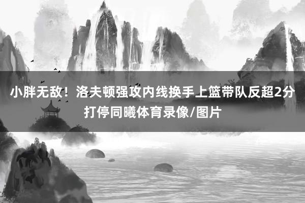 小胖无敌！洛夫顿强攻内线换手上篮带队反超2分打停同曦体育录像/图片