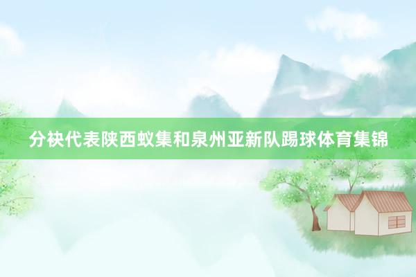 分袂代表陕西蚁集和泉州亚新队踢球体育集锦