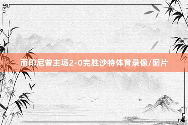 而印尼曾主场2-0完胜沙特体育录像/图片