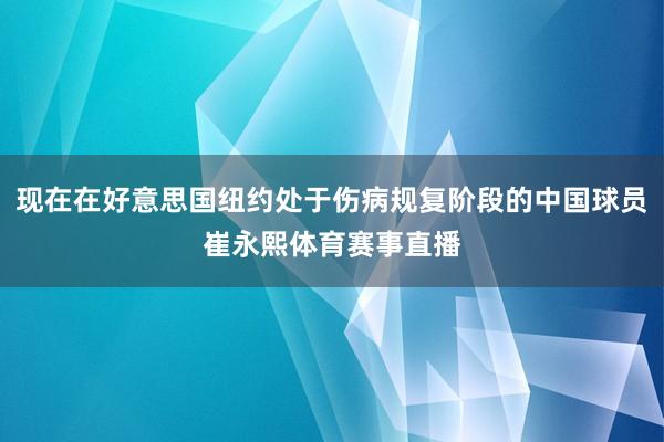 现在在好意思国纽约处于伤病规复阶段的中国球员崔永熙体育赛事直播