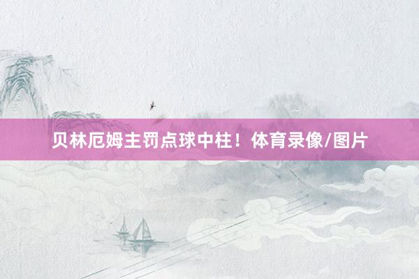 贝林厄姆主罚点球中柱！体育录像/图片