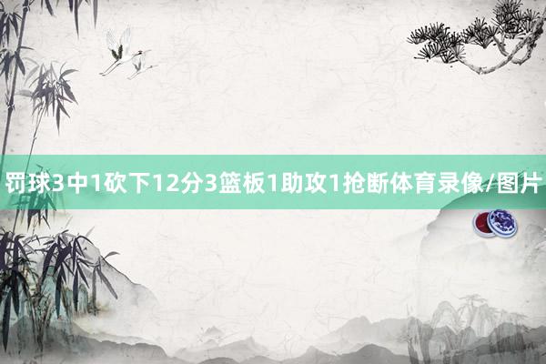 罚球3中1砍下12分3篮板1助攻1抢断体育录像/图片