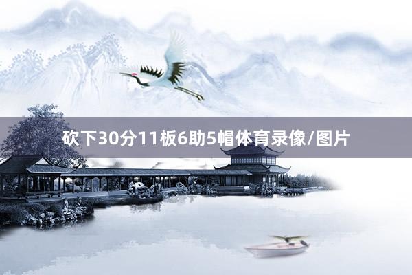 砍下30分11板6助5帽体育录像/图片