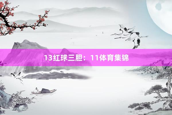 13　　红球三胆：11体育集锦