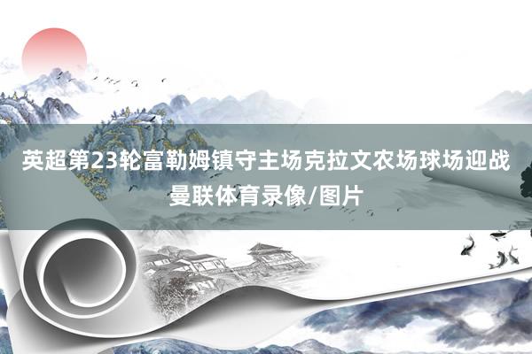 英超第23轮富勒姆镇守主场克拉文农场球场迎战曼联体育录像/图片