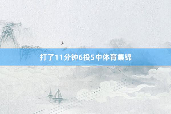 打了11分钟6投5中体育集锦