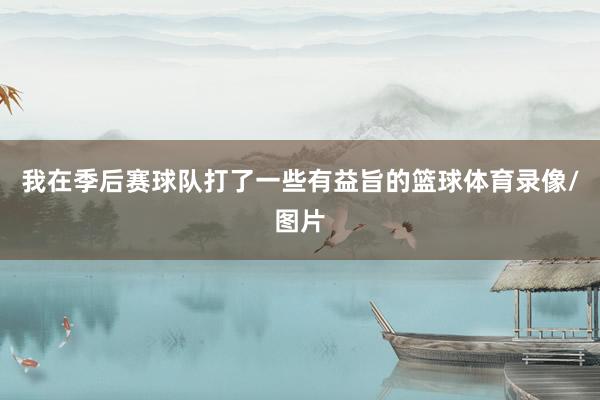我在季后赛球队打了一些有益旨的篮球体育录像/图片