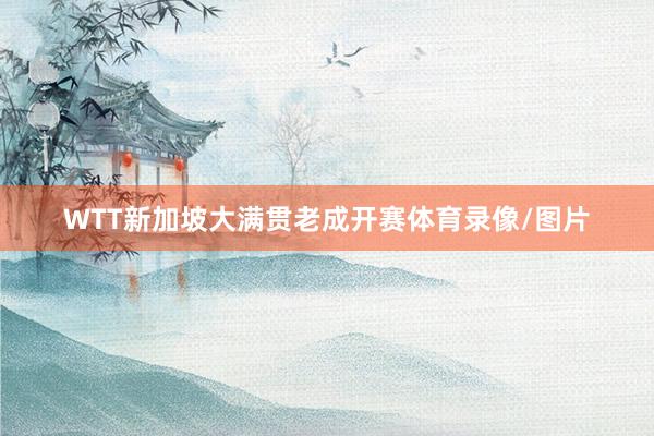 WTT新加坡大满贯老成开赛体育录像/图片