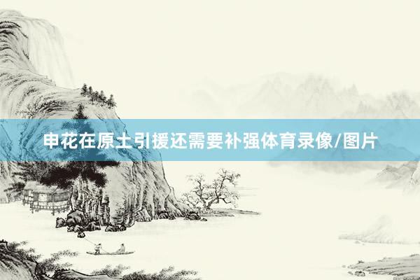 申花在原土引援还需要补强体育录像/图片