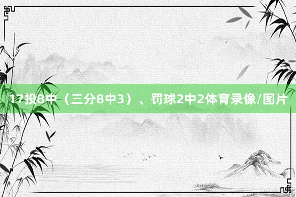 17投8中（三分8中3）、罚球2中2体育录像/图片