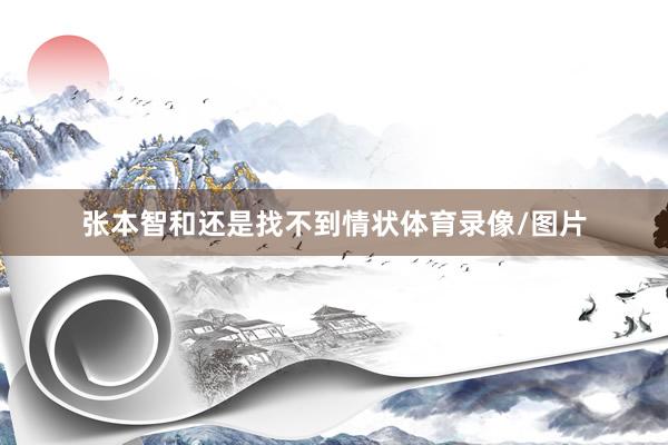 张本智和还是找不到情状体育录像/图片
