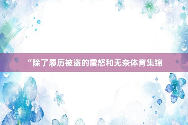 “除了履历被盗的震怒和无奈体育集锦