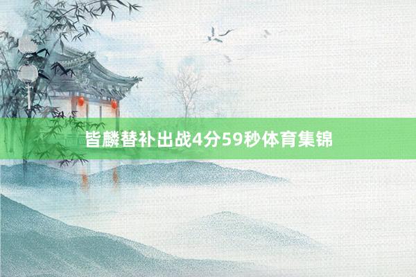 皆麟替补出战4分59秒体育集锦