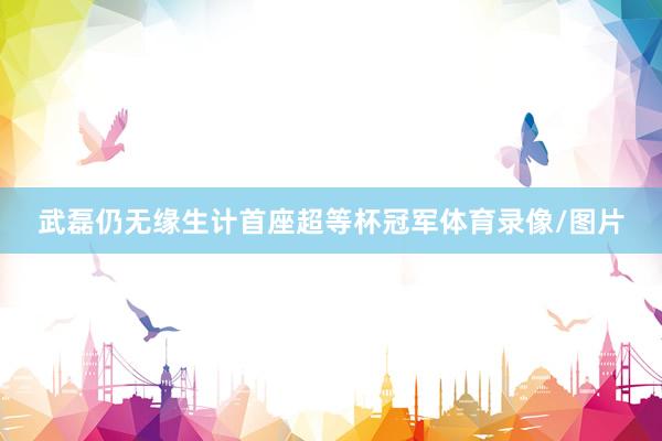 武磊仍无缘生计首座超等杯冠军体育录像/图片