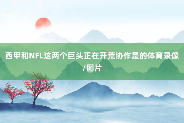西甲和NFL这两个巨头正在开荒协作是的体育录像/图片