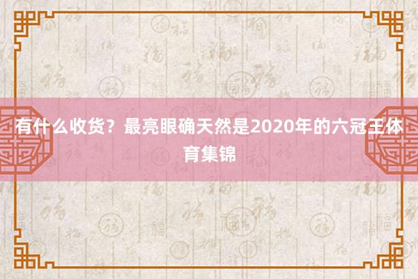 有什么收货？最亮眼确天然是2020年的六冠王体育集锦