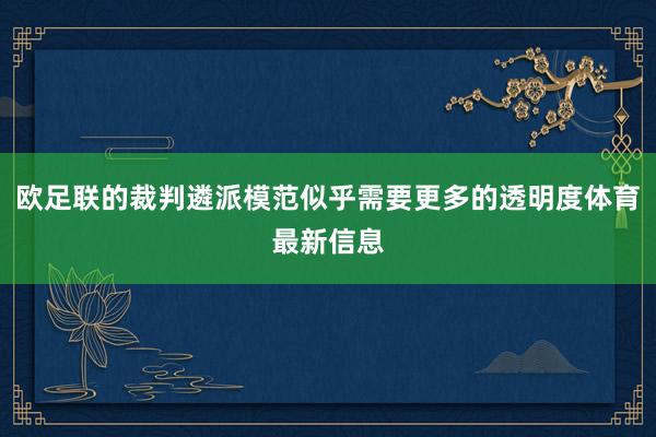 欧足联的裁判遴派模范似乎需要更多的透明度体育最新信息