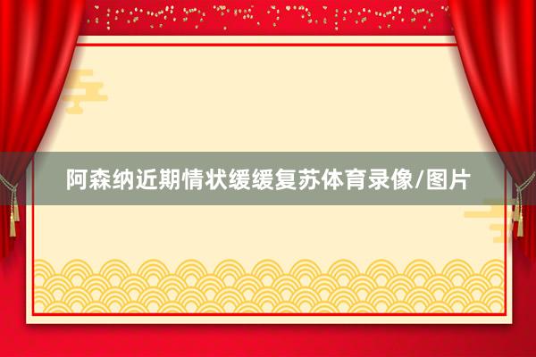 阿森纳近期情状缓缓复苏体育录像/图片
