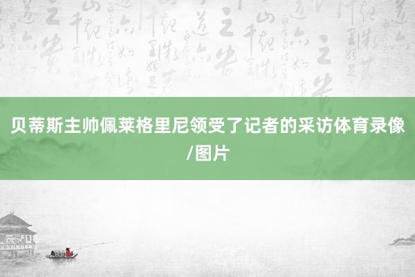 贝蒂斯主帅佩莱格里尼领受了记者的采访体育录像/图片