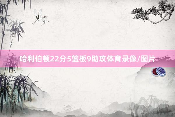 哈利伯顿22分5篮板9助攻体育录像/图片