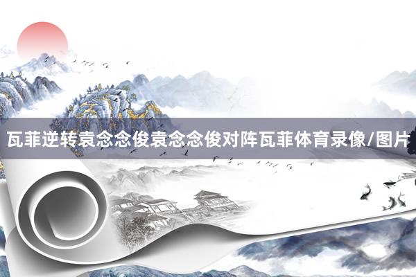 瓦菲逆转袁念念俊袁念念俊对阵瓦菲体育录像/图片