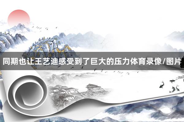 同期也让王艺迪感受到了巨大的压力体育录像/图片