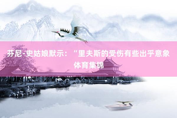 芬尼-史姑娘默示：“里夫斯的受伤有些出乎意象体育集锦