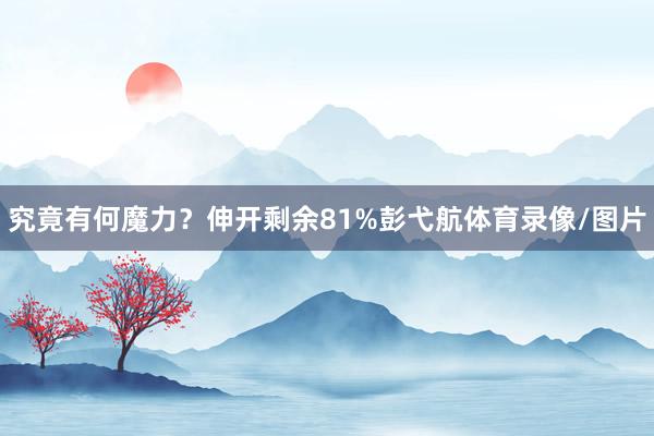 究竟有何魔力？伸开剩余81%彭弋航体育录像/图片
