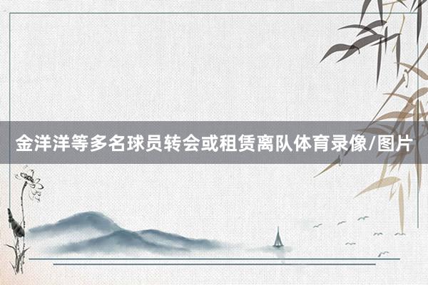 金洋洋等多名球员转会或租赁离队体育录像/图片
