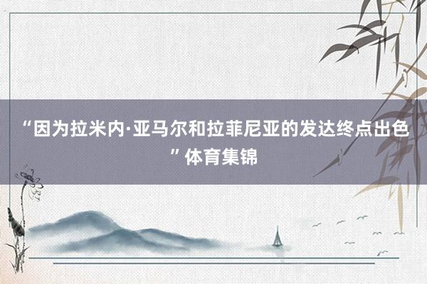 “因为拉米内·亚马尔和拉菲尼亚的发达终点出色”体育集锦