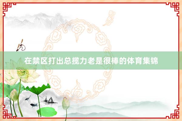 在禁区打出总揽力老是很棒的体育集锦
