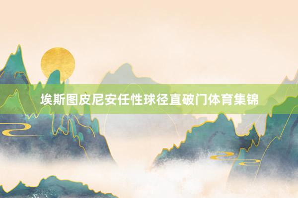 埃斯图皮尼安任性球径直破门体育集锦