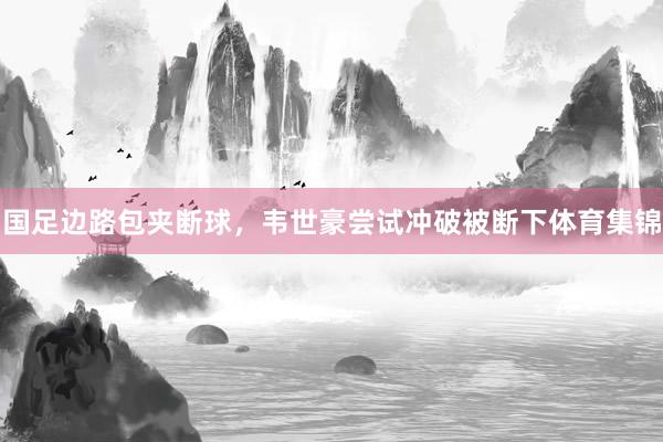 国足边路包夹断球，韦世豪尝试冲破被断下体育集锦