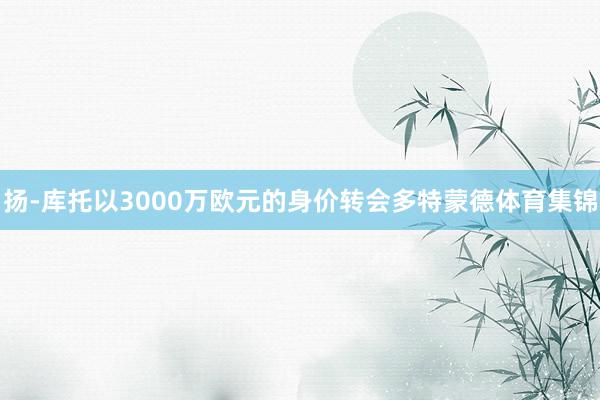 扬-库托以3000万欧元的身价转会多特蒙德体育集锦