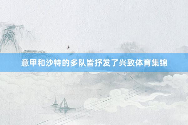 意甲和沙特的多队皆抒发了兴致体育集锦