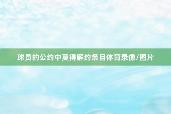球员的公约中莫得解约条目体育录像/图片