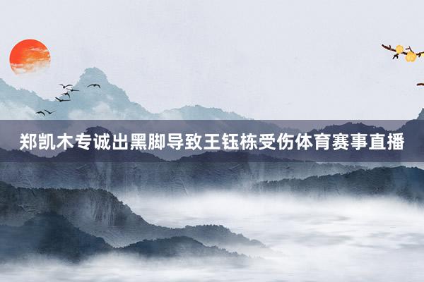 郑凯木专诚出黑脚导致王钰栋受伤体育赛事直播