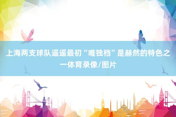 上海两支球队遥遥最初“唯独档”是赫然的特色之一体育录像/图片
