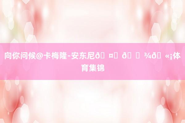 向你问候@卡梅隆-安东尼🤝🏾🫡体育集锦
