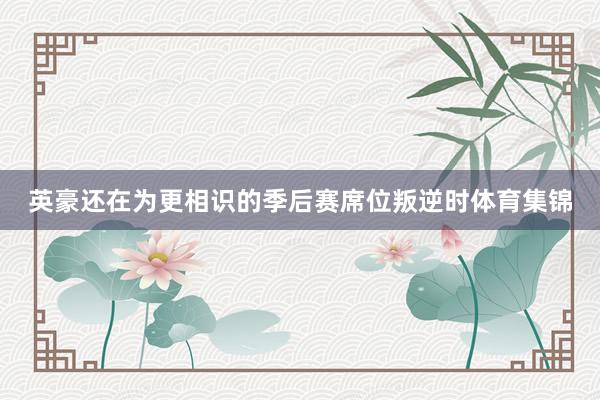 英豪还在为更相识的季后赛席位叛逆时体育集锦